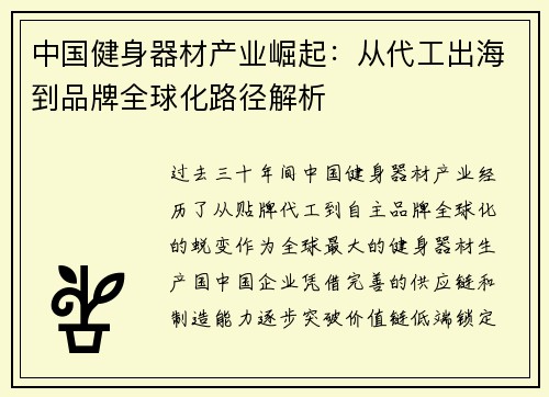 中国健身器材产业崛起：从代工出海到品牌全球化路径解析